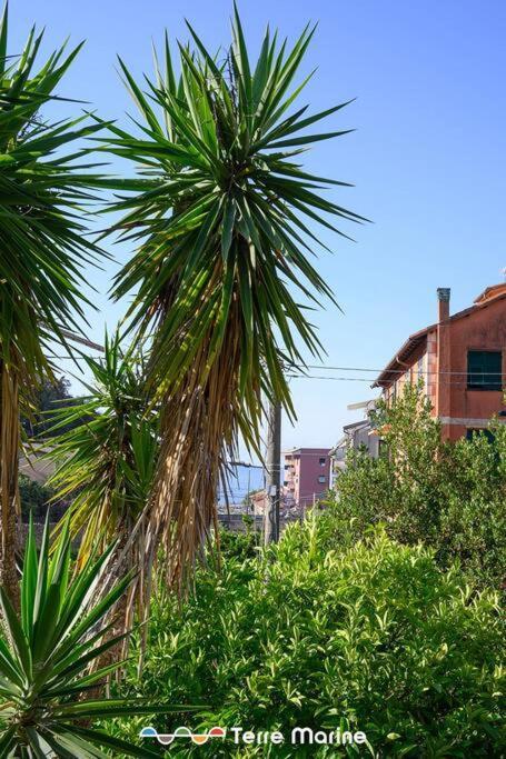 Nettuno, Terremarine Apartment Monterosso al Mare Bagian luar foto